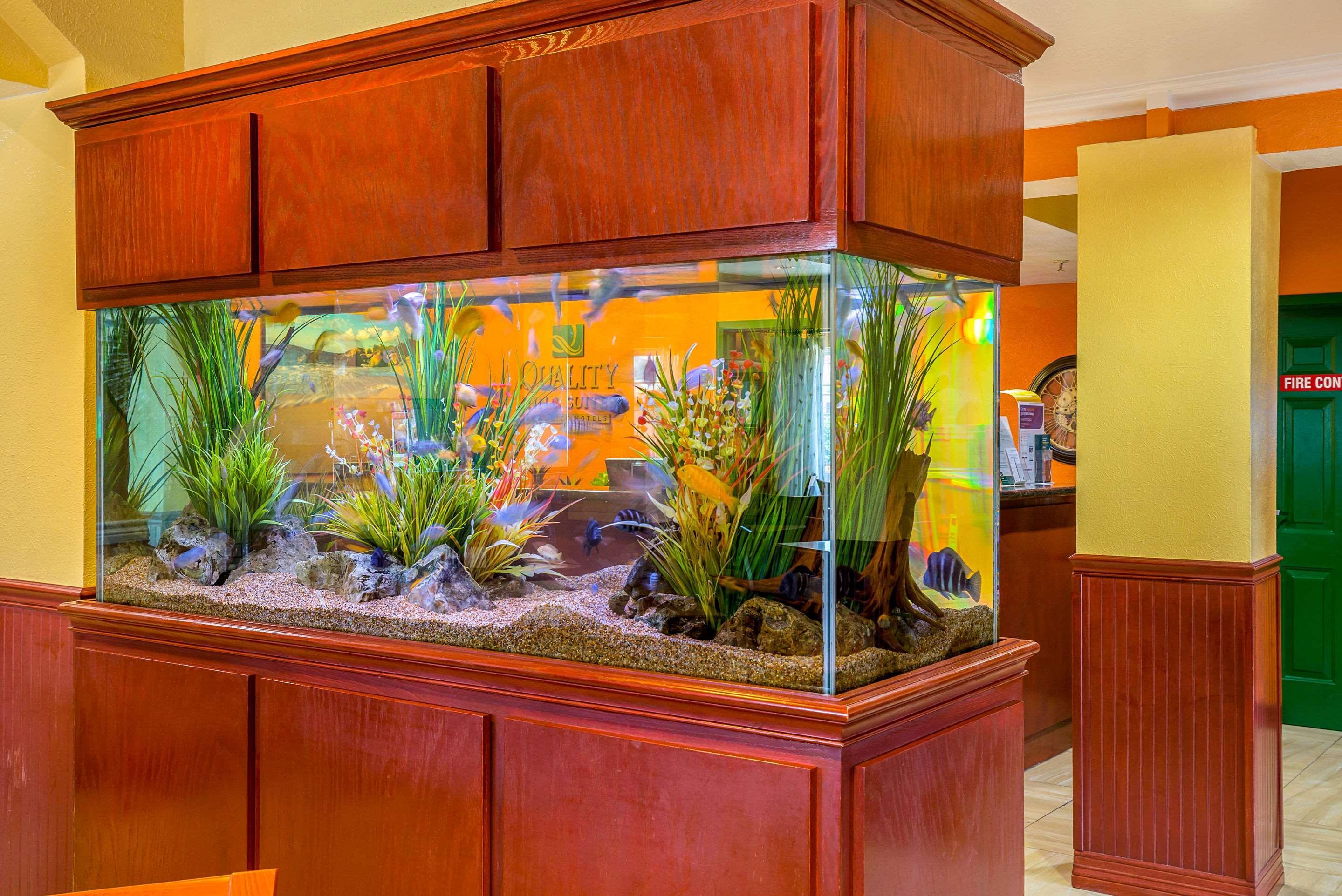 Quality Inn & Suites Galveston - Beachfront Luaran gambar